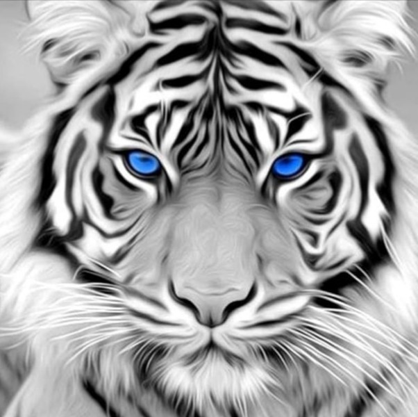 user-XhlTHIkUbNP3GD8iQb11-